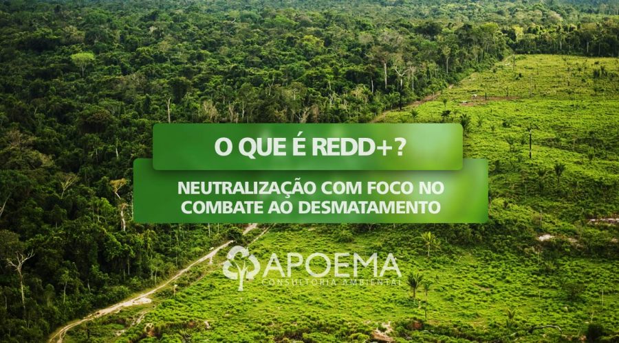 O que é REDD+ Neutralização com foco no combate ao desmatamento